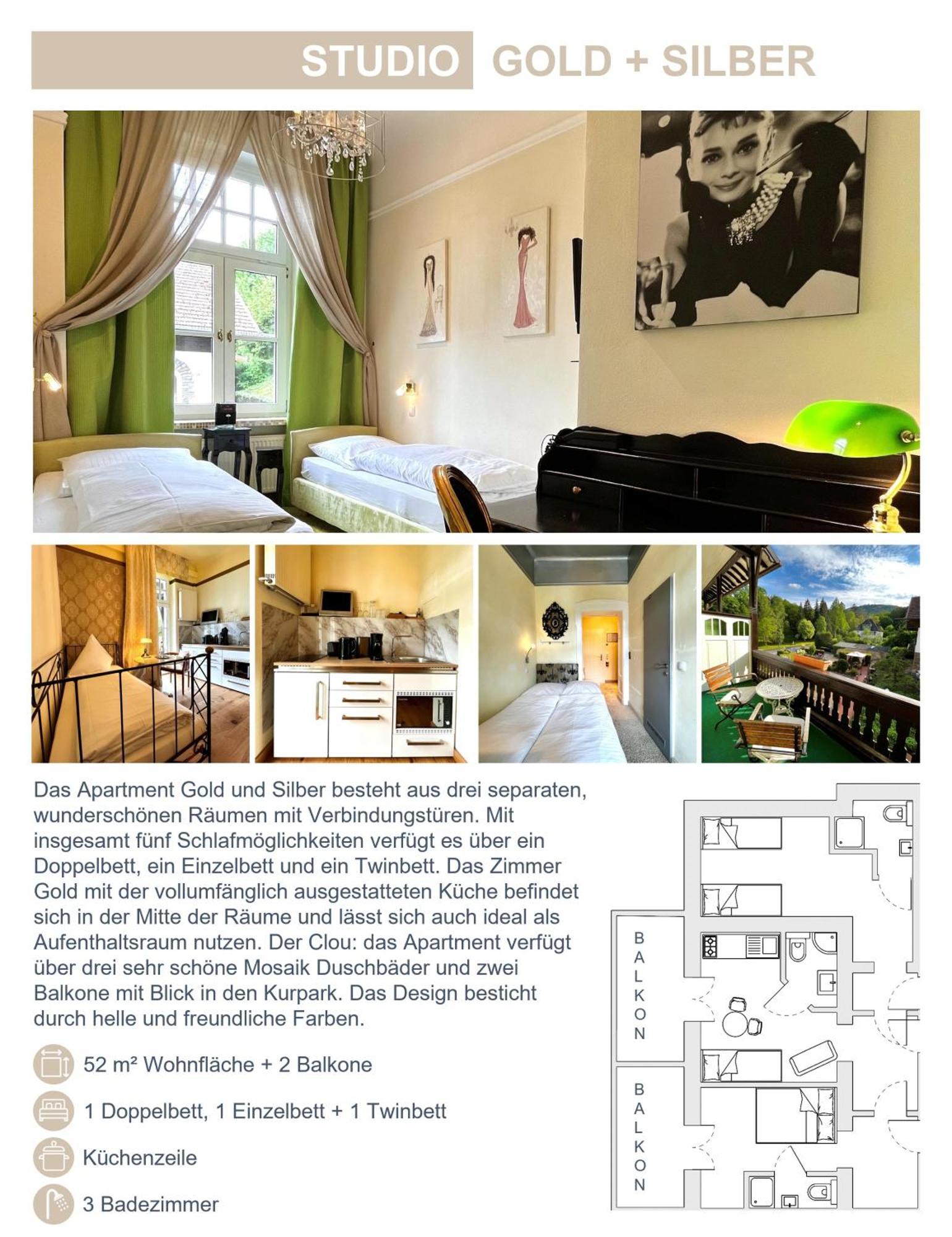 בופארד Park Villa Zentral Am Mittelrhein - Zimmer & Apartments מראה חיצוני תמונה